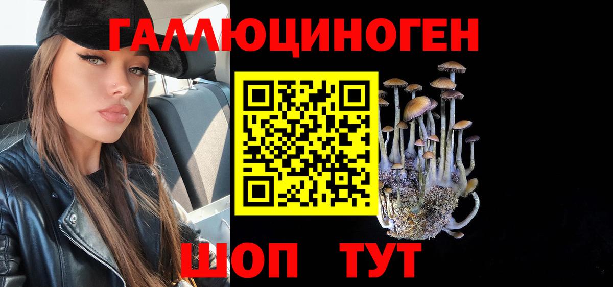 Галлюциногенные грибы Magic Shrooms  Вход с VPN  Нерюнгри 